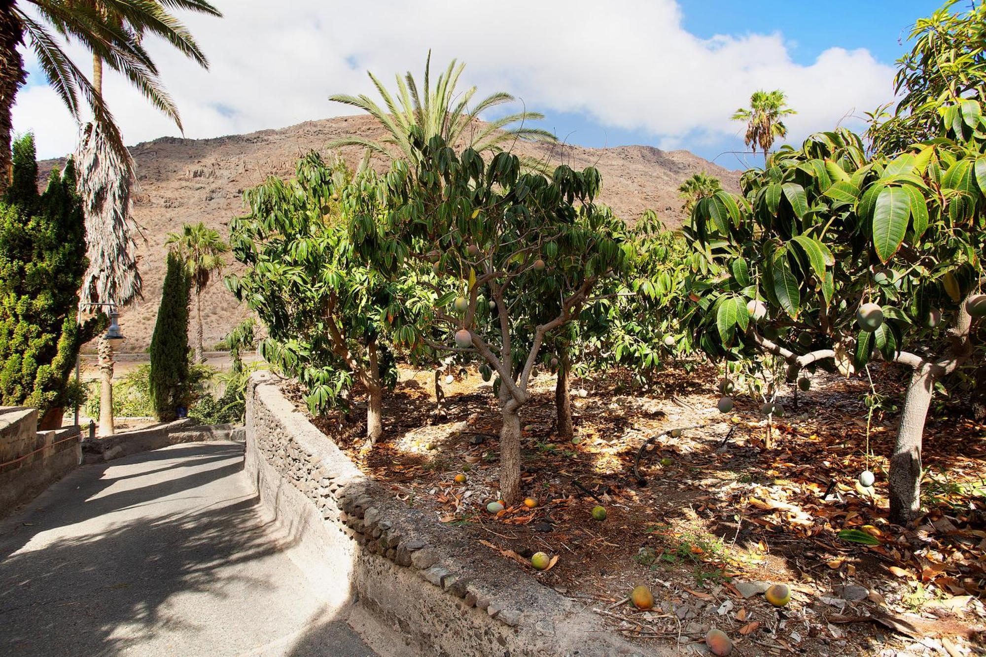 Vila Casa Paraiso Del Molinero Mogán Exteriér fotografie